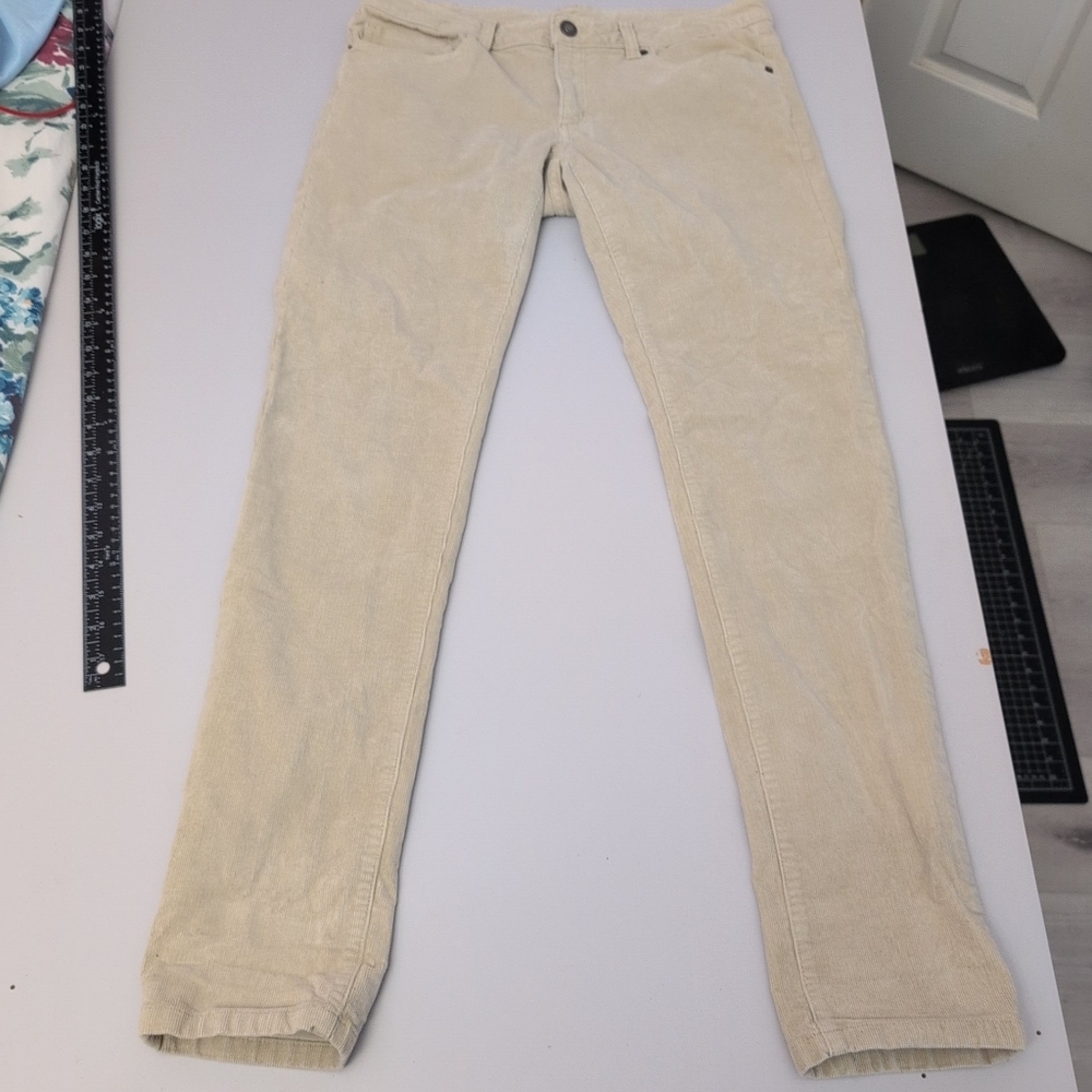 Patagonia Beige Pants Men 30x30